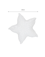 Astre Small Decorative Accent Plate for Home Decor