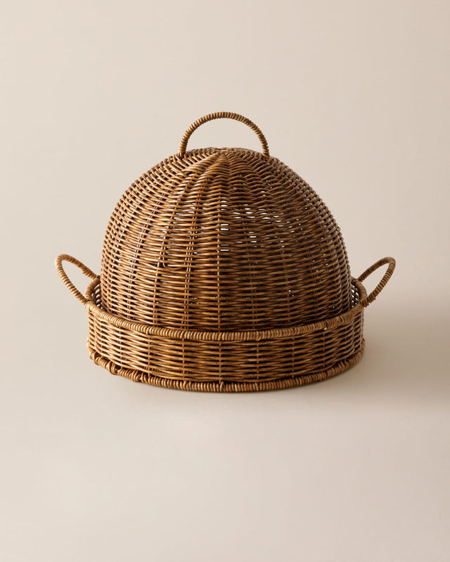 Plastic Storage Organizer - Versatile Natural Design