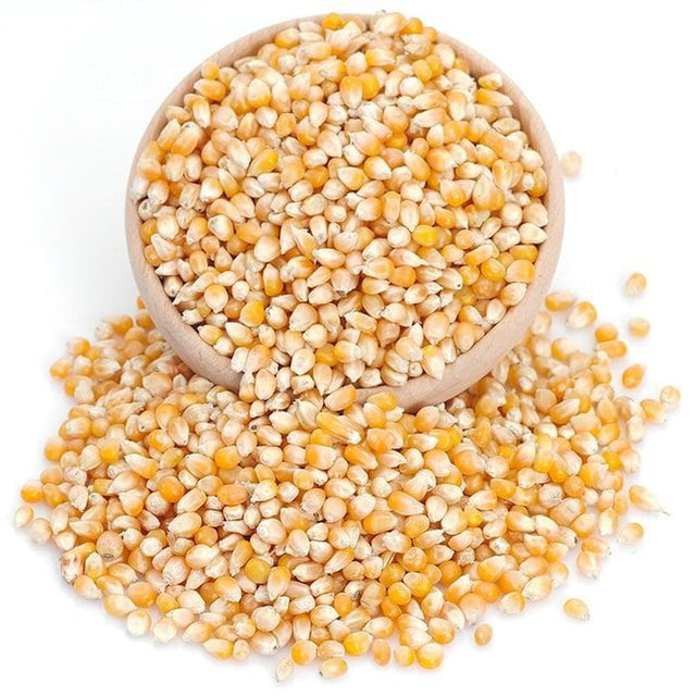 Premium Bulk Popping Corn Kernels