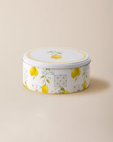 Large Round Metal Storage Box