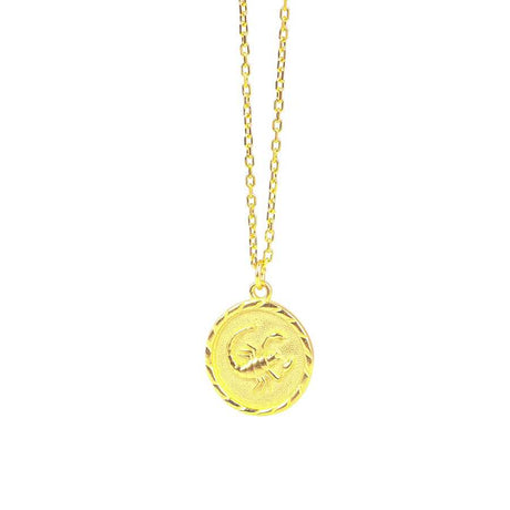 Sterling Silver Necklace - Distinctive Scorpion Motif Pendant