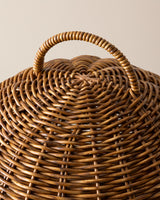 Plastic Storage Organizer - Versatile Natural Design