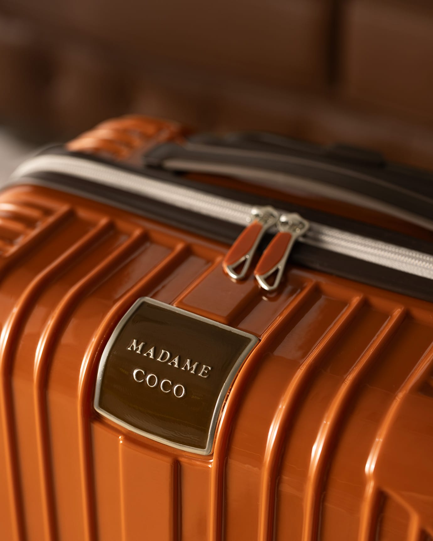 Polycarbonate Cabin Luggage - Durable Travel Companion