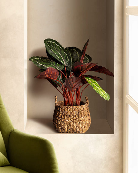 Nicola Decorative Potted Plant - Elegant Home Decor Accent