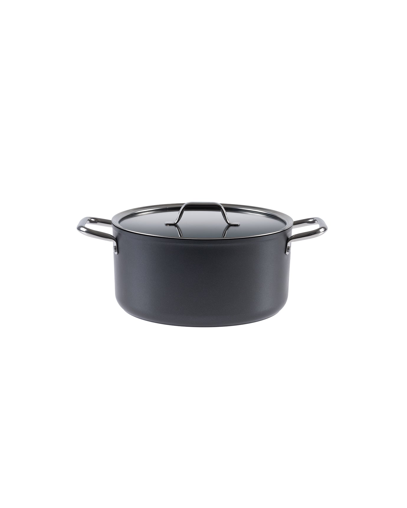 Professional Titanium Nonstick Deep Cooking Pot, 22 cm, Anthracite