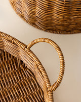 Plastic Storage Organizer - Versatile Natural Design