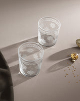 Clear Glass 4-Piece Water Glass Set - Contemporary Elegance