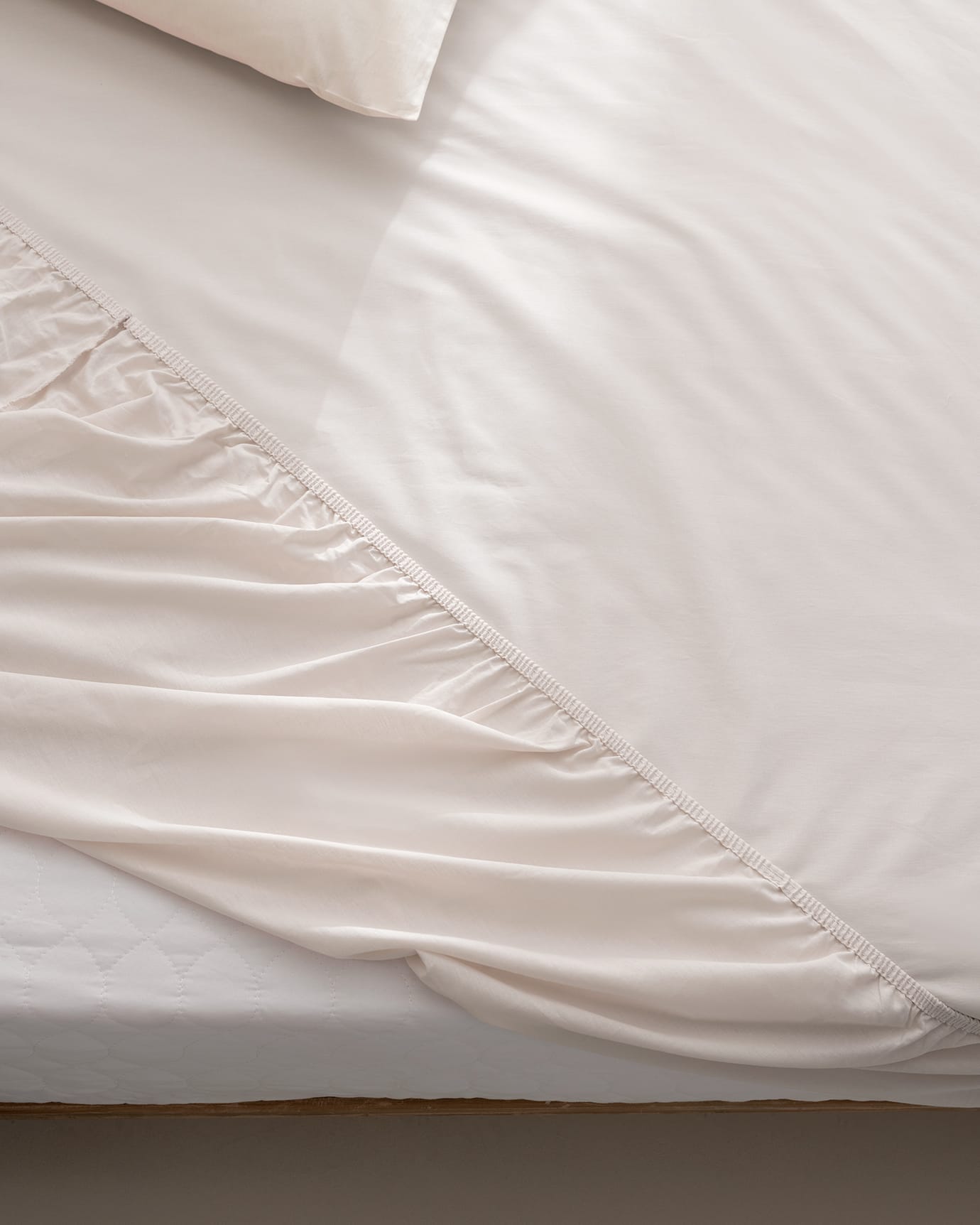 Manon 100% Cotton Ranforce Twin XL Fitted Sheet