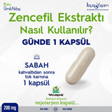 Microencapsulated Ginger Extract - Enhanced Absorption Capsules