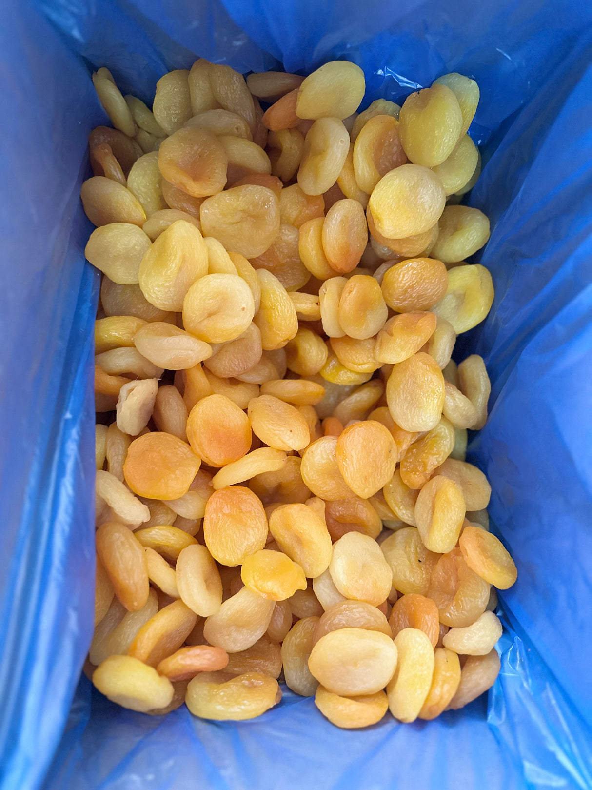 Serde | Yellow Dried Apricots (Jumbo)