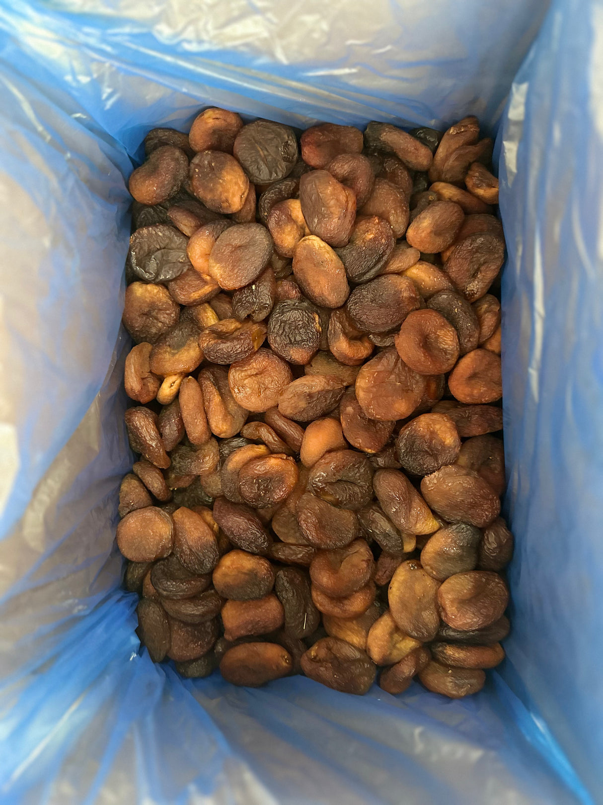 Serde | Sun Dried Apricot (Jumbo)