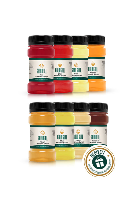 Gold Gull Professional Gourmet Syrup Variety Pack - 8 x 80ml