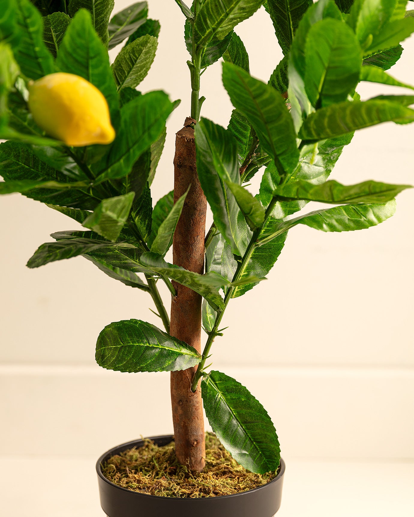 Leonore Faux Potted Plant - Elegant Indoor Home Decor