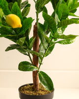 Leonore Faux Potted Plant - Elegant Indoor Home Decor