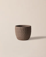 Robust Cement Planter - Modern Indoor & Outdoor Style
