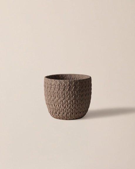 Robust Cement Planter - Modern Indoor & Outdoor Style