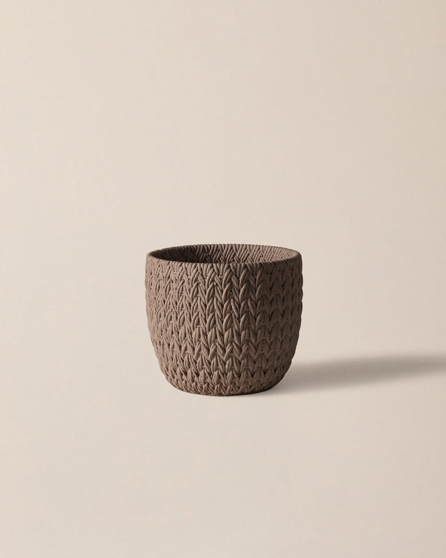 Robust Cement Planter - Modern Indoor & Outdoor Style
