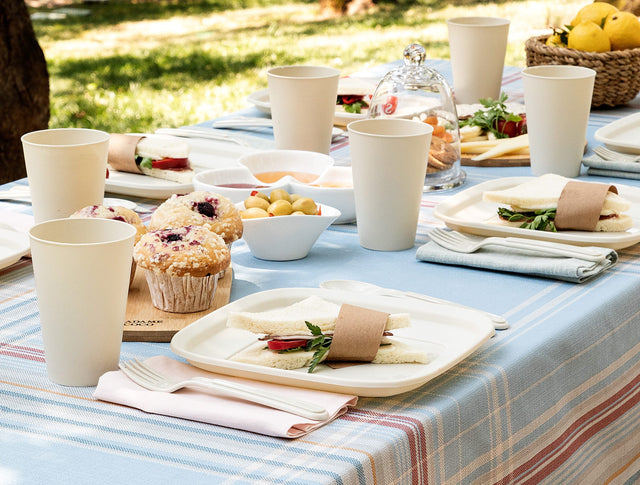 Plastic Picnic Set - Durable & Modern Outdoor Dining Essentials