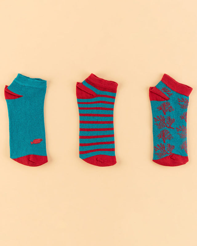 Women's 3-Pack No-Show Ankle Socks - Soft & Breathable