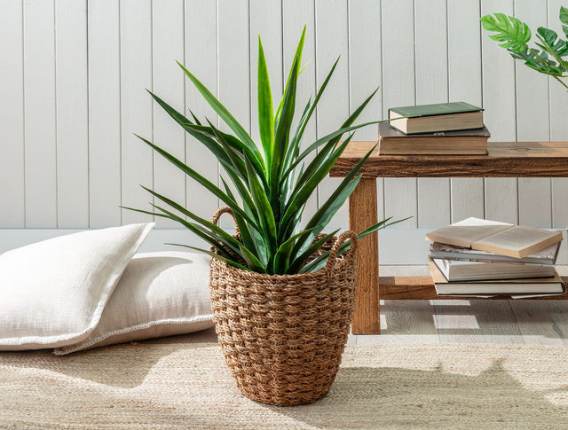 Aglaee Medium Wicker Storage Basket - Decorative Home Organizer