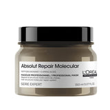 Absolut Repair Molecular Leave - In Mask - Heat Protection & Amino Acid Formula - TryAladdin