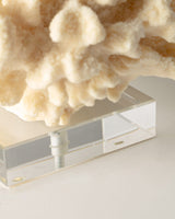 Resin Floral Figurine - Elegant Cream Botanical Accent