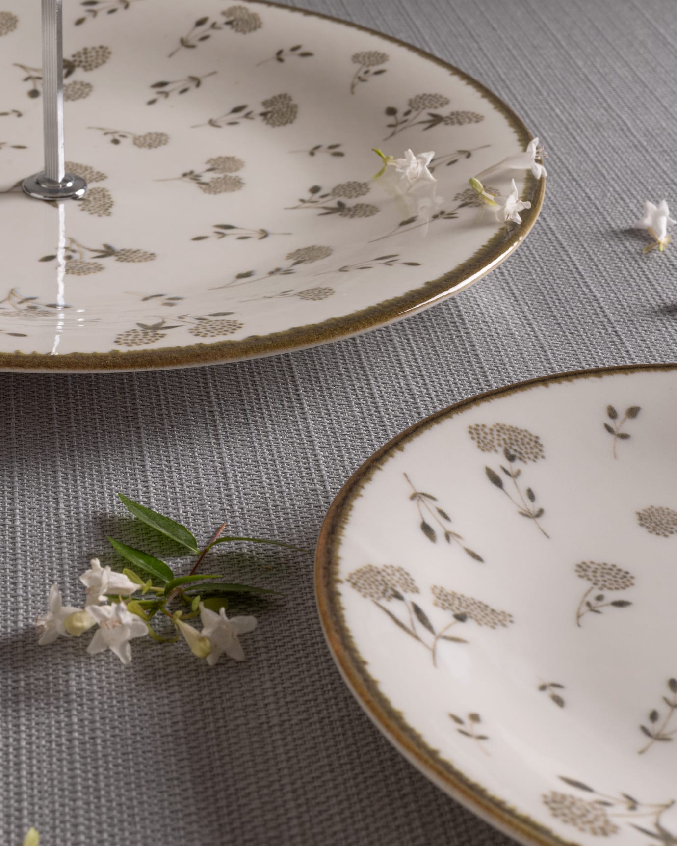 New Bone China 7-Piece Cookie Set - Elegant Fleur Design