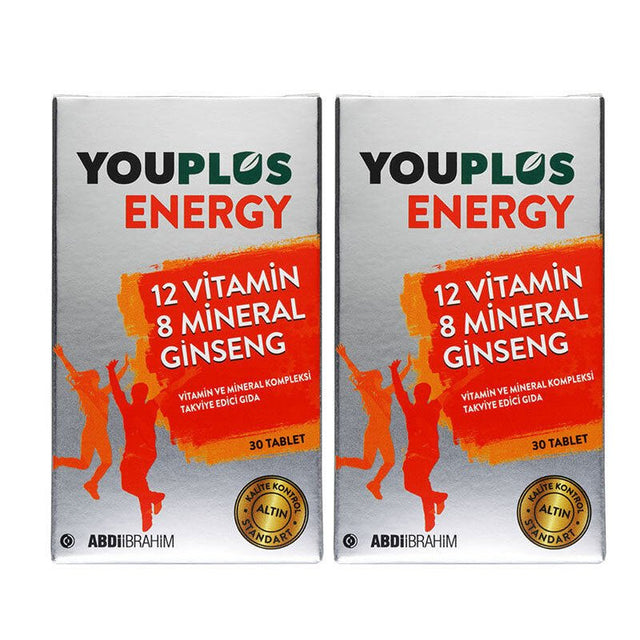 Advanced 12 Vitamin 8 Mineral & Ginseng Energy Support Tablets - TryAladdin