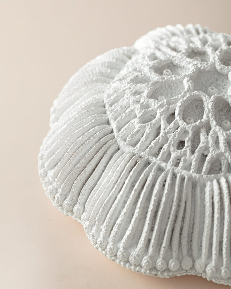 Resin Wall Decor - Coralie Modern Sculptural White