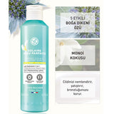 After - Sun Hydrating & Tan - Prolonging Milk with Sea Holly Extract - TryAladdin