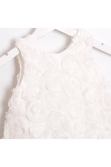 Ahenk Premium Newborn Girl 3D Rose Dress - Special Occasion - 1 Piece - TryAladdin