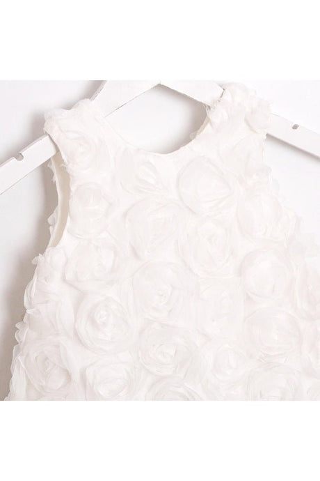 Ahenk Premium Newborn Girl 3D Rose Dress - Special Occasion - 1 Piece - TryAladdin