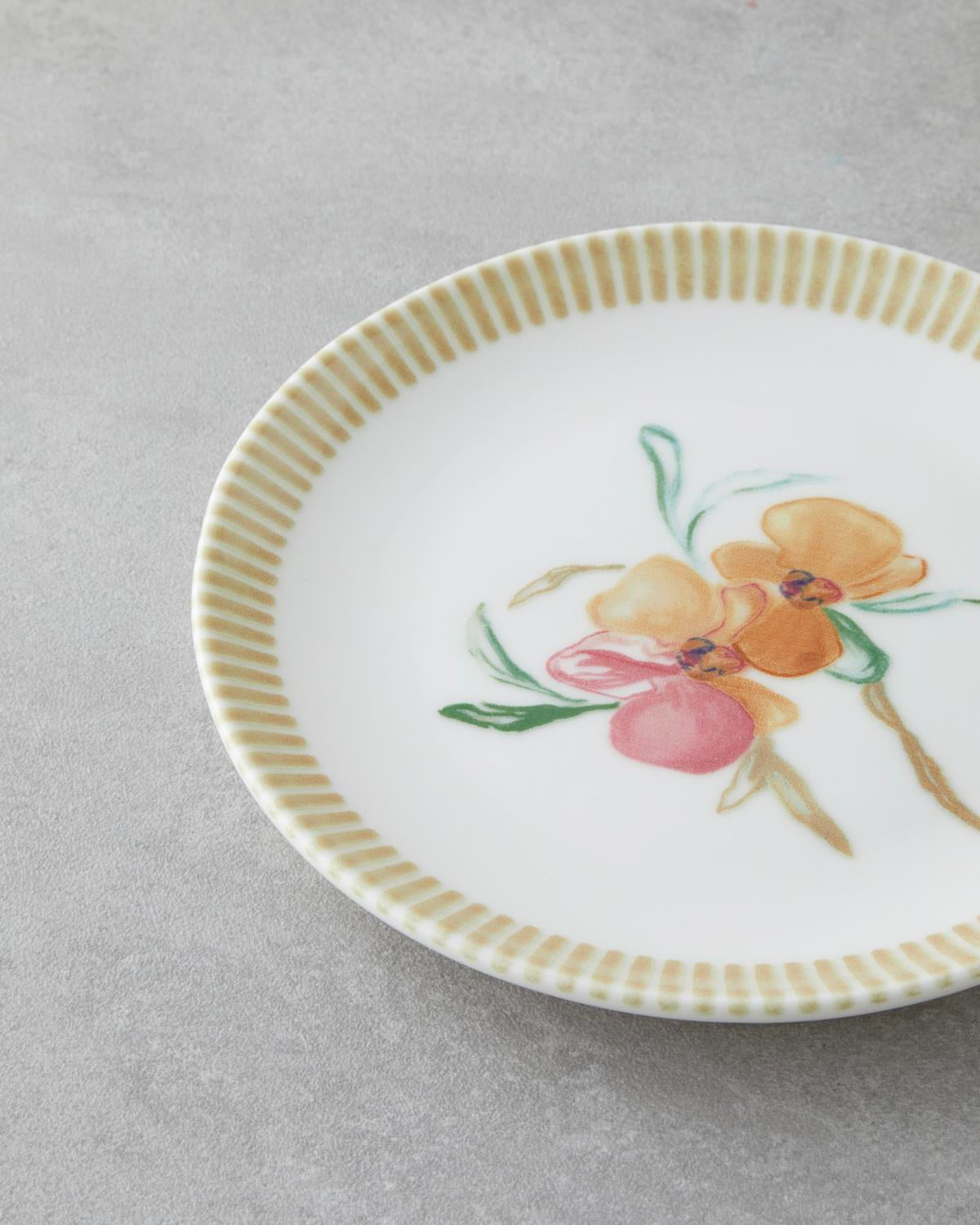 Elegant Porcelain Dessert Plate Set   Pink Green   6 Count