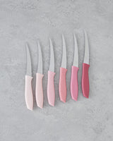 Premium 6 Piece Stainless Steel Utility Knife Set