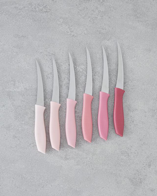 Premium 6 Piece Stainless Steel Utility Knife Set