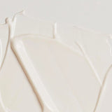 Anti - Aging Broad Spectrum Moisturizer SPF50 with White Tea & Peptides - TryAladdin