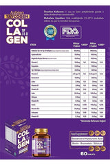 Asbien Taycogen Collagen Supplement - 60 Tablets with Biotin & HA - TryAladdin