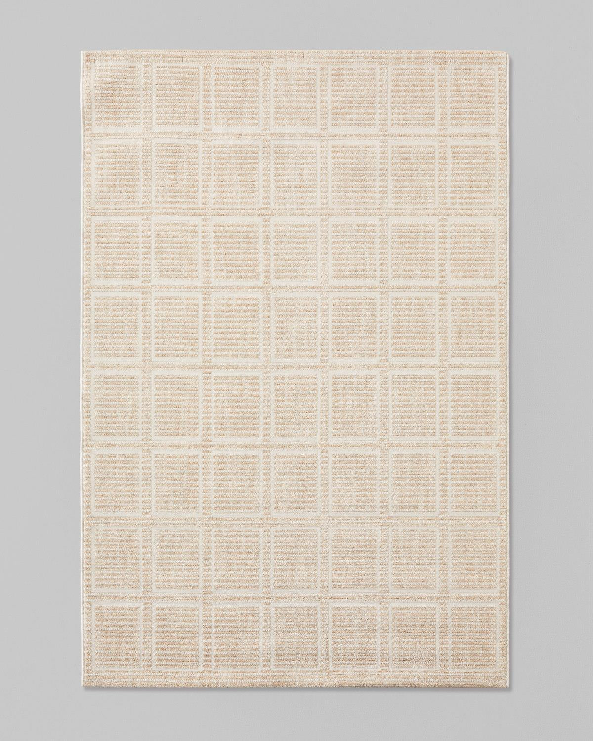 Professional Beige Area Rug   Modern Home Decor Accent
