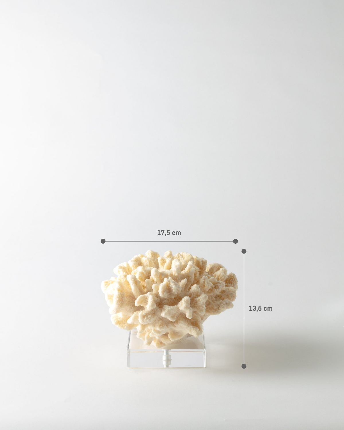 Resin Floral Figurine - Elegant Cream Botanical Accent