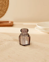 Durable Plastic Salt Shaker - Sleek & Contemporary Design