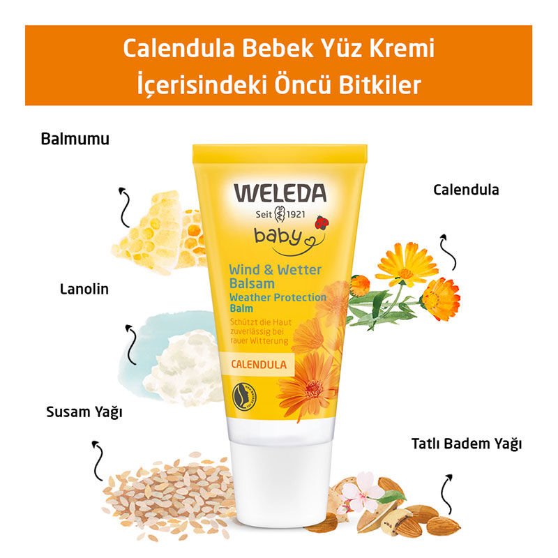 Baby Face Cream - Protective & Hydrating Calendula Formula - TryAladdin