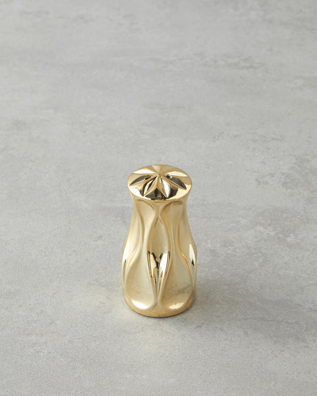 Elegant Gold Finish Glass Salt and Pepper Shaker Set