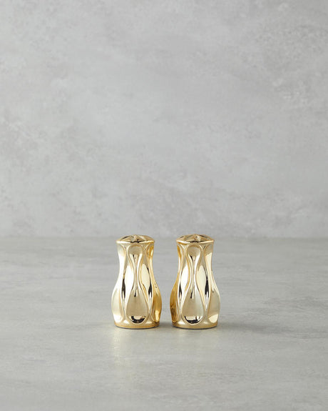 Elegant Gold Finish Glass Salt and Pepper Shaker Set