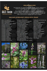 Balci Tahsin Premium Artisanal Karakovan Black Hive Honey - 1 Kg - TryAladdin