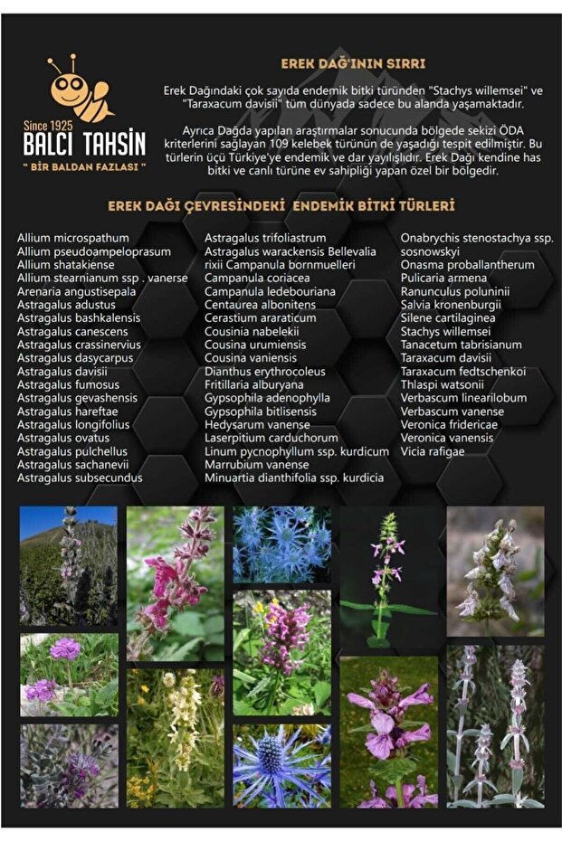 Balci Tahsin Premium Artisanal Karakovan Black Hive Honey - 1 Kg - TryAladdin