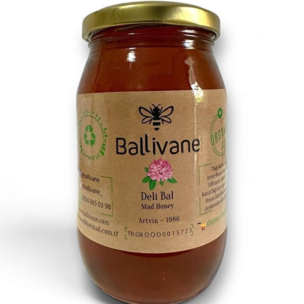 Ballivane Artvin Murgul Mad Honey - Premium Rhododendron