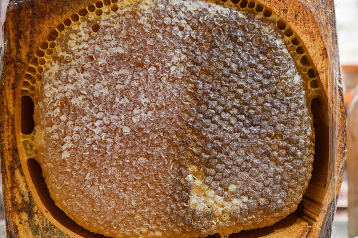 Balsev | Log Hive Karakovan Honeycomb Honey