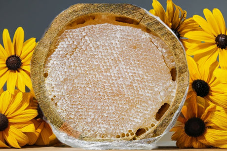 Balsev | Log Hive Karakovan Honeycomb Honey