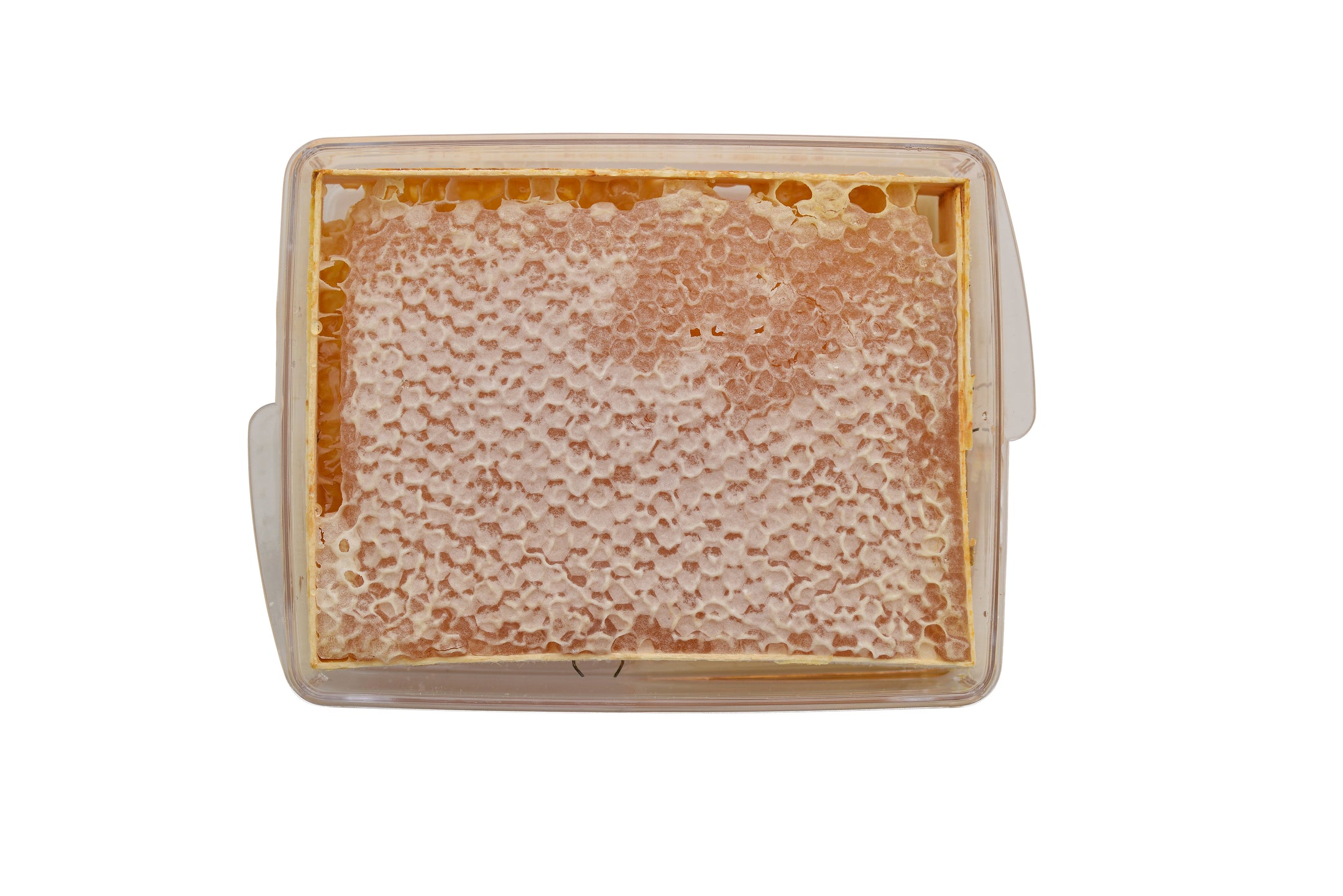 Balsev | Section Karakovan Honeycomb Honey - TryAladdin