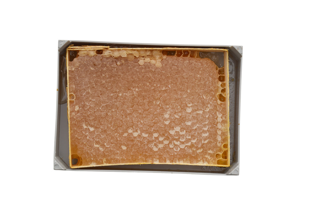 Balsev | Section Karakovan Honeycomb Honey